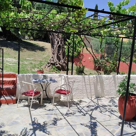 Rio Grande Rooms Беницес Екстериор снимка